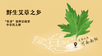 艾草越嫩越好，還是越久越好？悄悄告訴你：艾草這樣用，效果最好！