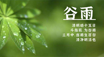 【二十四節(jié)氣灸】谷雨時(shí)節(jié)，用艾為您的健康加上一道保險(xiǎn)！