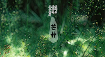 【二十四節(jié)氣灸】芒種節(jié)氣，培土補(bǔ)脾、養(yǎng)陰生津！艾灸這些穴位事半功倍！