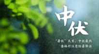 【三伏養(yǎng)生】至熱中伏，吃三樣，喝三樣，三大禁忌千萬(wàn)別犯，小心落下病根！