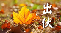 【三伏養(yǎng)生】出伏后做好養(yǎng)生很關(guān)鍵！一行要注意！