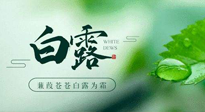 【二十四節(jié)氣灸】白露涼爽，養(yǎng)心肝脾胃、滋陰潤肺是關(guān)鍵！