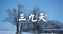 【三九養(yǎng)生】冬三九，三九第三灸，一年中最后艾灸黃金9天！