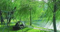 【養(yǎng)生知識】元宵入六九，春季已至，六九天的養(yǎng)生知識你知道多少？