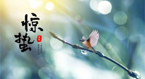 【二十四節(jié)氣灸】驚蟄節(jié)氣，艾灸喚醒抵抗力、補充陽氣的最好時機！