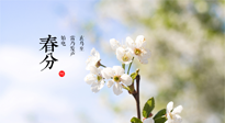【二十四節(jié)氣灸】春分，平分了大地晝夜；艾灸，平衡了身體陰陽(yáng)！