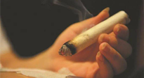 【艾灸知識(shí)】春暖花開(kāi)，衣衫漸薄，再不減肥，身上的肉肉可藏不住了！