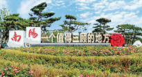 【行業(yè)資訊】南陽一個(gè)值得三顧的地方！“丹江水”“仙草艾”成為 “南陽禮物”新爆款！
