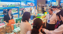 【行業(yè)資訊】南陽攜超千款名優(yōu)產(chǎn)品在廣州開展產(chǎn)銷對接，仙草艾首次亮相大灣區(qū)！