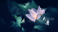【二十四節(jié)氣灸】趁大暑好好艾灸，才不辜負(fù)三伏天的驕陽(yáng)！