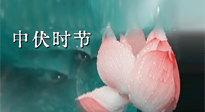 【艾灸三伏天】中伏：三伏灸的關(guān)鍵轉(zhuǎn)折點(diǎn)！“灸”除病根的大好時(shí)機(jī)！