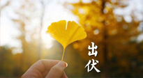 【艾灸三伏天】出伏啦！三防三宜兩穴位，防止身體“秋后算賬”！