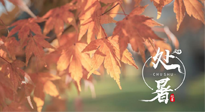【二十四節(jié)氣灸】處暑，冬病夏治倒計(jì)時(shí)！秋涼真的要來了！