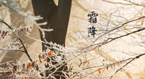 【二十四節(jié)氣灸】霜降節(jié)氣：艾灸四穴，護(hù)您冬天安然無(wú)恙！