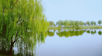 【艾灸知識(shí)】春三月，必艾灸穴位：疏肝理氣，養(yǎng)血調(diào)神！