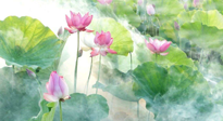 【養(yǎng)生知識】花開半夏，夏至養(yǎng)生，這些知識一定要牢記！