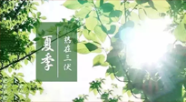【艾灸三伏天】今年三伏不一般，仙草小助理建議大家早作準備哦！