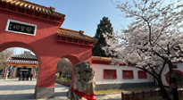 【行業(yè)資訊】新華財經：守正創(chuàng)新，中醫(yī)藥品牌化發(fā)展“更上一層樓”！