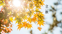【節(jié)氣飲食】立秋將至，吃最合適的飲食，平穩(wěn)度過季節(jié)交替！