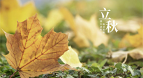 【節(jié)氣養(yǎng)生】甲辰立秋，“2做”、“2不做”，護(hù)好我們身體的正氣，預(yù)防外邪的侵襲！