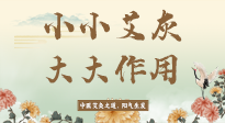 【艾草知識】艾灰真是個巨好用的東西，?它的神奇功效，你知道多少？